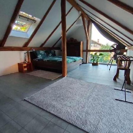 Vila Cvet Medvode Exteriér fotografie